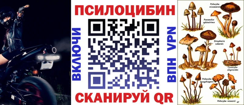 Псилоцибиновые грибы мухоморы  Багратионовск 
